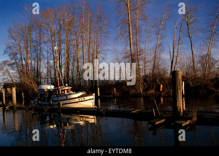 Fraser River, Richmond, BC, British Columbia, Canada - Historic Commercial Fishing Boat docked in Finn Slough, a Tidal Community Stock Photo