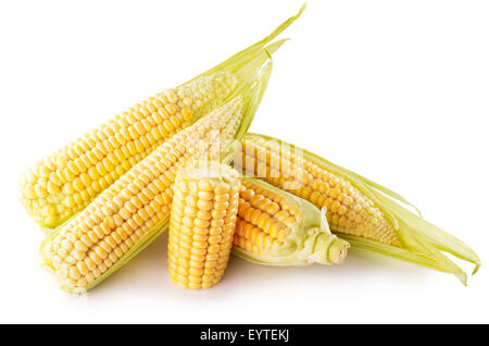 corn ears isolated on the white background. Stock Photo