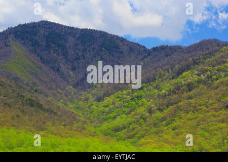 Campbell Overlook, Great Smoky Mountains National Park, Tennessee, USA Stock Photo