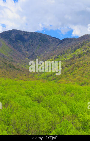 Campbell Overlook, Great Smoky Mountains National Park, Tennessee, USA Stock Photo