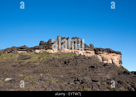 Landscape at the top of Mount Roraima in the morning with blue sky. Black volcanic stones, and endemic plants. Gran Sabana. Stock Photo