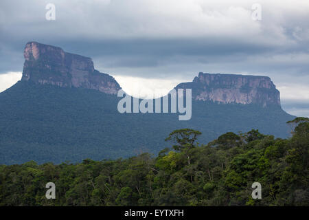 Ptari Tepui in Canaima National Park, Venezuela Stock Photo