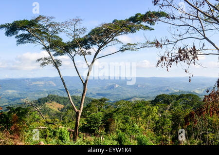 Panoramic view of the green Dembos hills in the north of Angola Stock Photo
