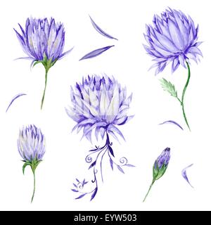 Hand-painted flowers set isolated on white background for scrapbooking and event design Stock Photo