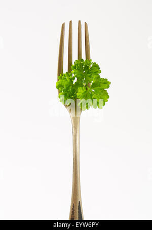 Fresh parsley sprig on fork Stock Photo