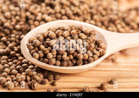 Close up of dried coriander seeds in the wooden spoon on the wood table Stock Photo