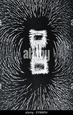 Attraction and repulsion iron metal particles align up along the magnetic fields lines created by horse shoe magnet Stock Photo