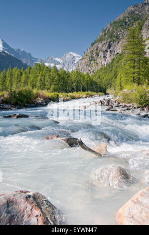 River in Valnontey. Gran Paradiso National Park. Aosta valley. Graian Alps. Italy. Stock Photo