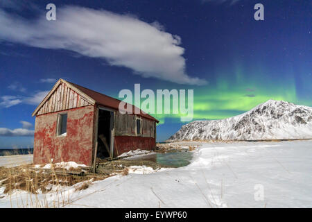 Northern Lights (aurora borealis) over an abandoned log cabin surrounded by snow, Flakstad, Lofoten Islands, Arctic, Norway