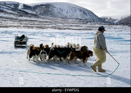 Inuit hunter walking his dog team on the sea ice, Greenland, Denmark, Polar Regions Stock Photo