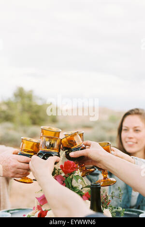 women raising their glasses to toast each other Stock Photo