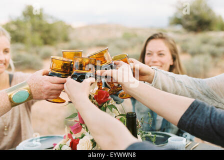 women raising their glasses to toast each other Stock Photo