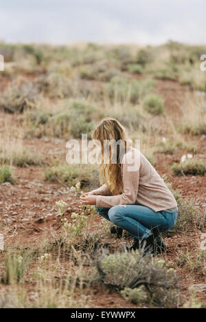 Woman kneeling in a desert, picking wild flowers. Stock Photo