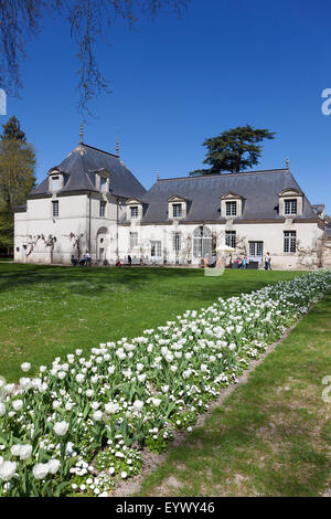 Castle of Azay-le-Rideau, Indre-et-Loire, France Stock Photo