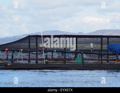 Fish farming in the North Sea near Loch Linnhie, in between Oban and the Isle of Mull on the north west of Scotland, UK. Stock Photo
