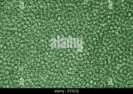 Background Of Sponge in Green color shot in studio Stock Photo