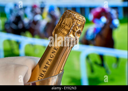 Ascot races champagne bottle in cooler with Royal Ascot Ladies Day horse racing in background Ascot Berkshire UK Stock Photo