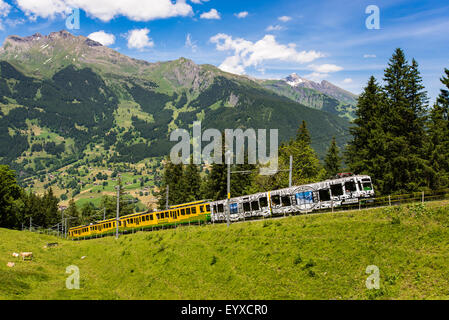 Swiss mountain railway from Grindelwald to Kleine Scheidegg Stock Photo