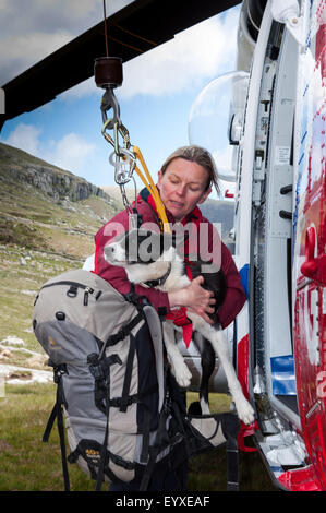 A mountain rescue dog handler practices placing her dog in the winch system of a Coastguard Sikorsky S-92 Stock Photo