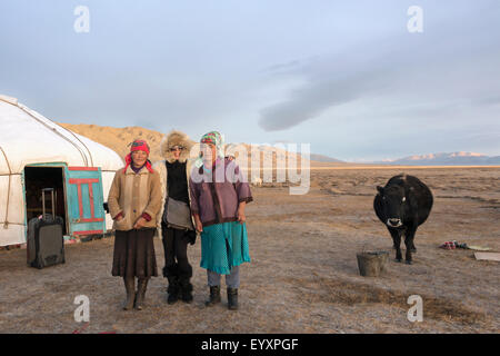 Two cultures with cow, early morning at get, west of Olgii, Western Mongolia Stock Photo