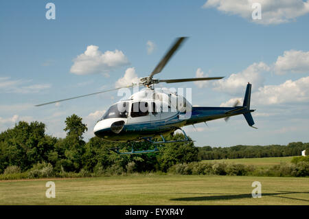 Blue and white helicopter taking off or landing in a field Stock Photo