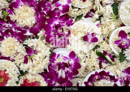 Purple Orchid Offerings Stock Photo