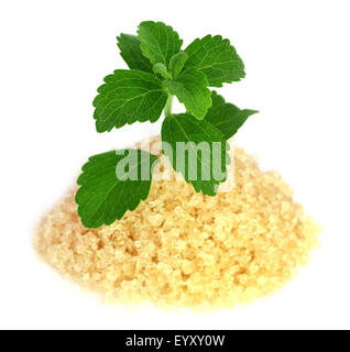 Coarse crystals of brown sugar with stevia leaves over white background Stock Photo