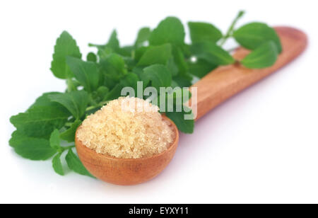 Coarse crystals of brown sugar with stevia leaves over white background Stock Photo