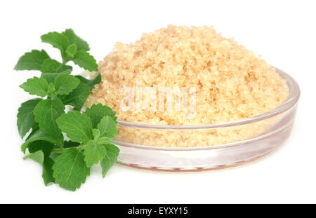 Coarse crystals of brown sugar with stevia leaves over white background Stock Photo