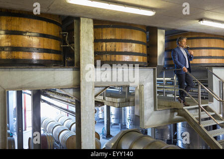 Vintner with red wine on platform in winery cellar Stock Photo