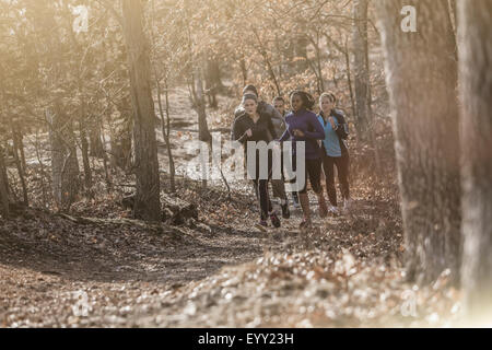 Runners jogging on dirt path in forest Stock Photo