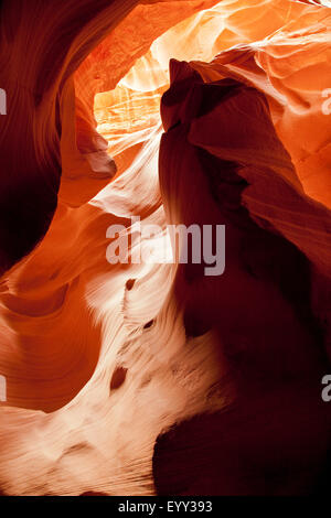 Curving rock walls in Secret Canyon, Page, Arizona, United States Stock Photo