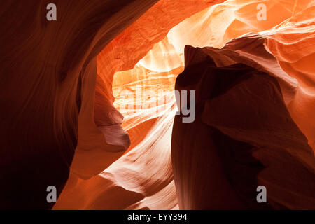 Ornate rock formations in Secret Canyon, Page, Arizona, United States Stock Photo