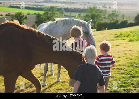 Caucasian brothers petting horses in rural field Stock Photo