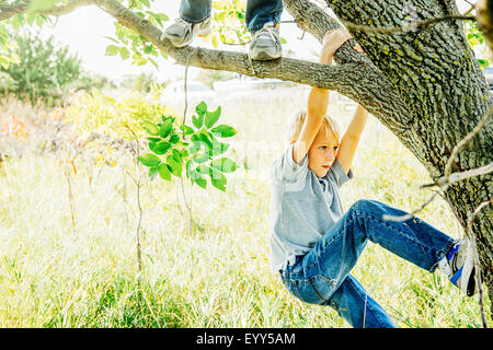 Caucasian boys climbing tree Stock Photo