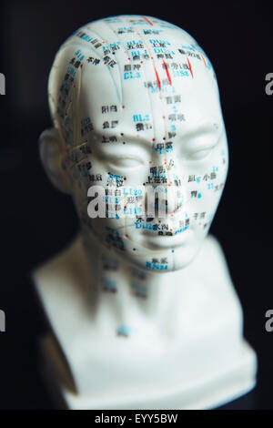 Close up of carved bust with acupuncture diagram Stock Photo