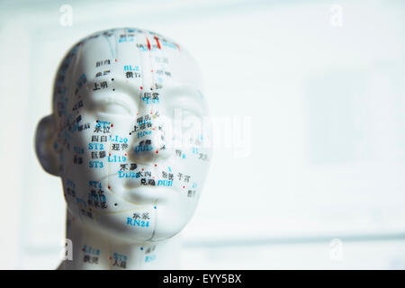 Close up of carved bust with acupuncture diagram Stock Photo