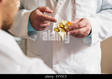 Caucasian doctor showing patient bone model Stock Photo