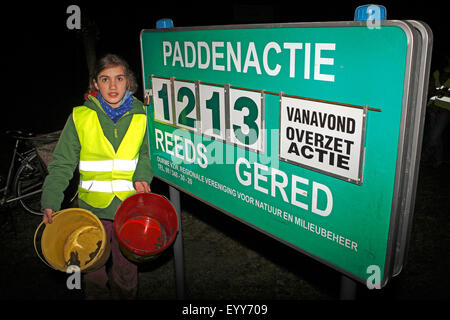 close to nature girl helping at the toads migrating, information sign, Belgium Stock Photo