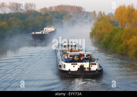 cargo ships on Schelde in mist, Belgium Stock Photo