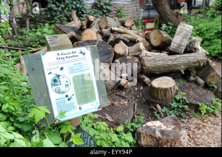 A home for stag beetles sign and log pile. Camley Street Natural Park is an urban nature reserve in central London. Stock Photo
