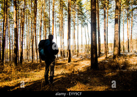 Caucasian hiker walking in forest Stock Photo