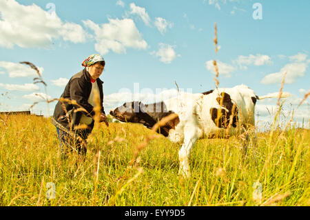 Caucasian farmer feeding cow in rural field Stock Photo