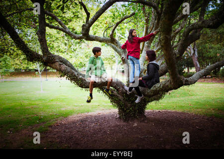 Children and mother climbing tree branches in park Stock Photo