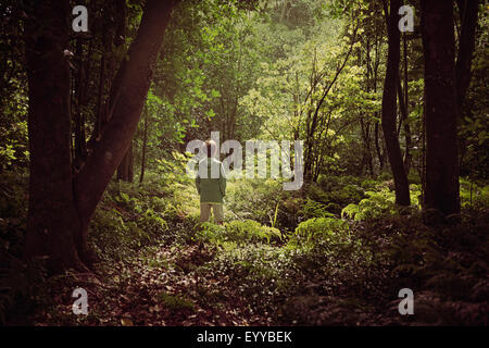 Mixed race boy exploring lush forest Stock Photo