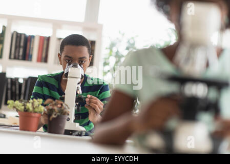 Black students using microscopes in science lab Stock Photo