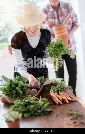Older Caucasian couple harvesting vegetables from garden Stock Photo