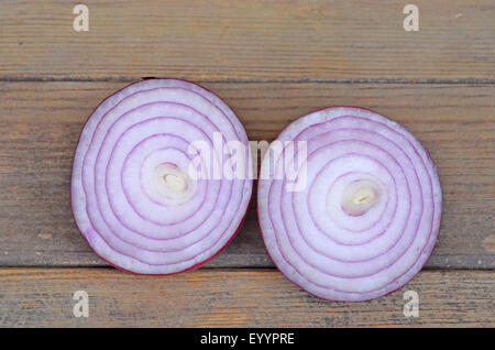 Garden onion, Bulb Onion, Common Onion (Allium cepa), fresh red onion cross section Stock Photo