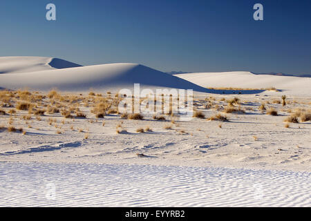 deset landscape at the White Sands National Monument, USA, New Mexico, White Sands National Monument Stock Photo
