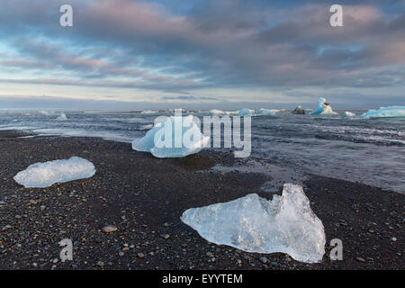 ice on the black shore of Joekulsarlon glacial lake, Iceland, Austurland, Kalfafellsstadur Stock Photo